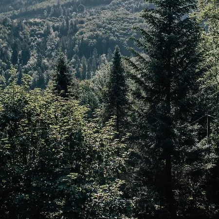 Leśnica Domek alpejski Brenna