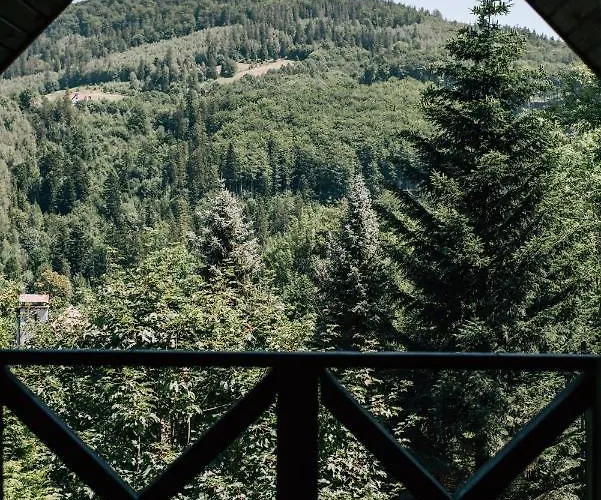 Lesnica شاليه *