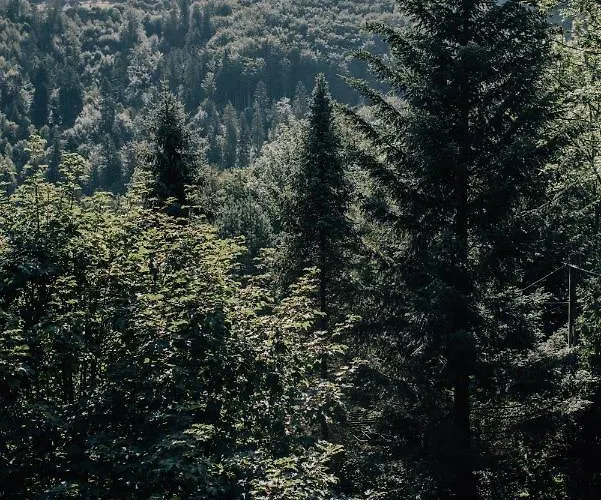 Lesnica شاليه برينا